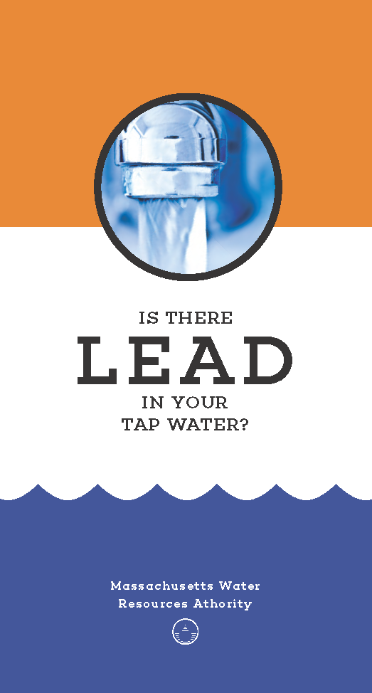 image of lead brochure