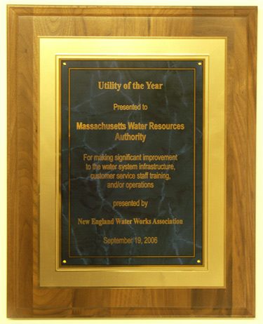utility of the year award