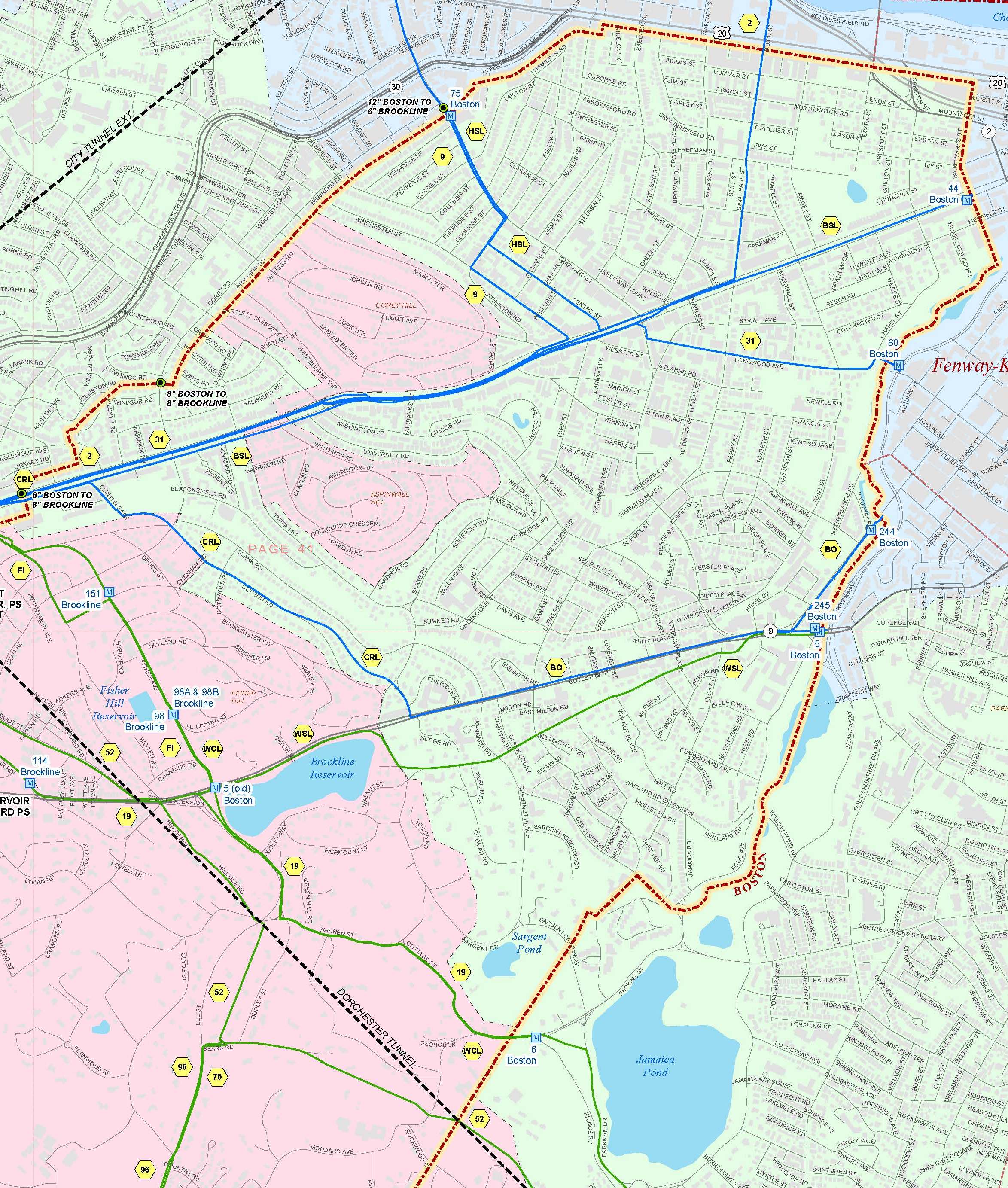 Map of area that may experience discolored water in Brookline, MA