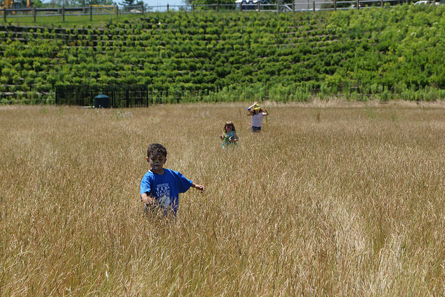 Children enjoy running through the meadow at the top of the tank.