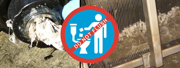 Don't Flush Wipes image courtesy NACWA