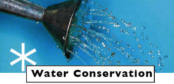 water conservation for the garden