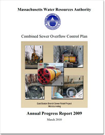 cover of cso annual report 2009