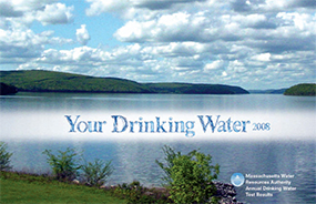 cover of annual water report