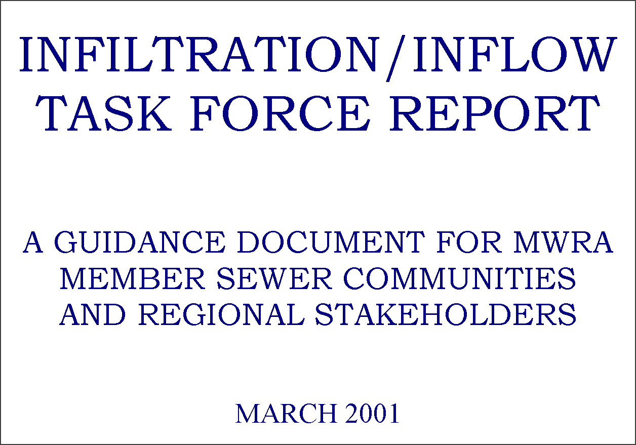 cover of I I task force report