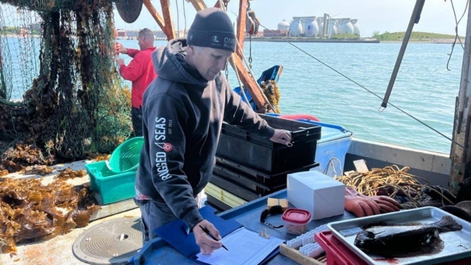 Fish and shellfish survey in Boston Harbor