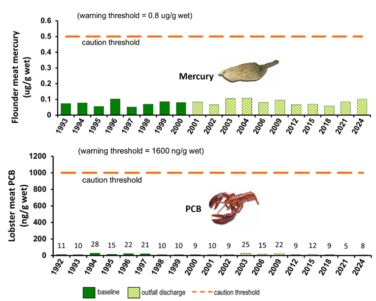 2024 flounder mercury and lobster PCB