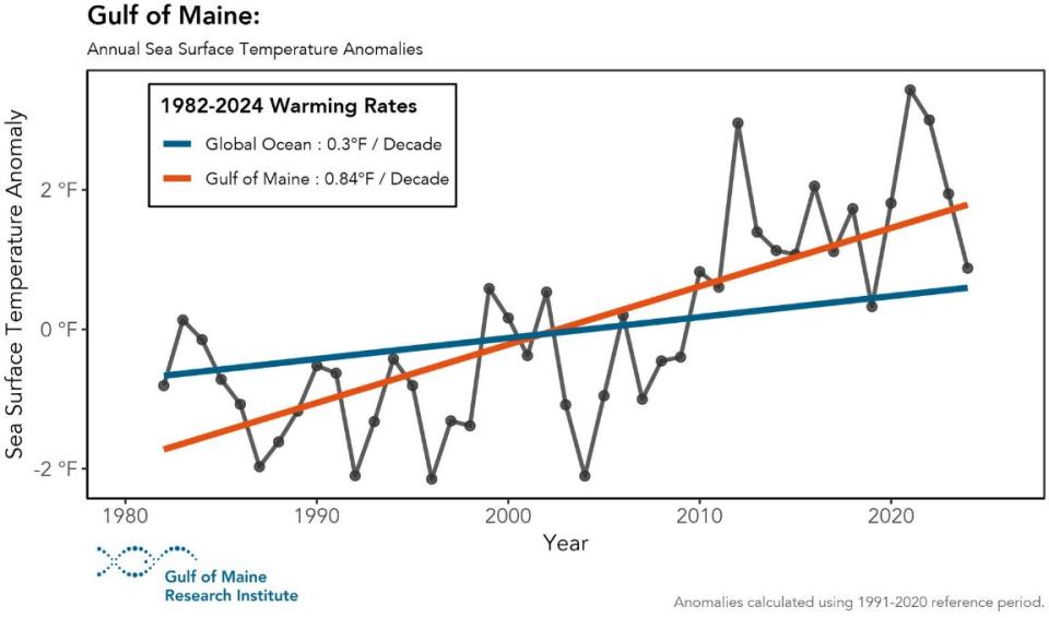 The Gulf of Maine has been warming faster than the global ocean.