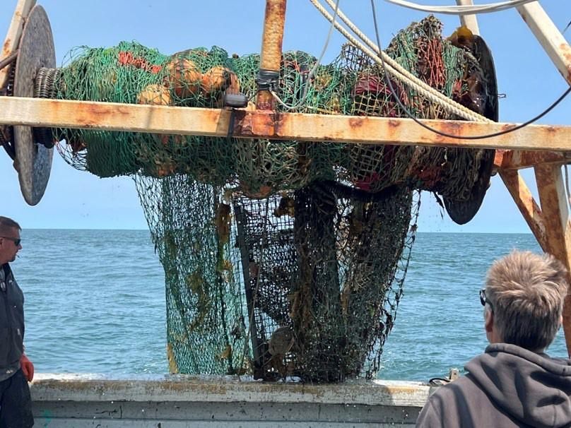 "Ghost" fishing gear interferes with flounder collection. (Photo by Michael Moore, Woods Hole Oceanographic Institution).