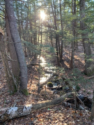 Quabbin Watershed