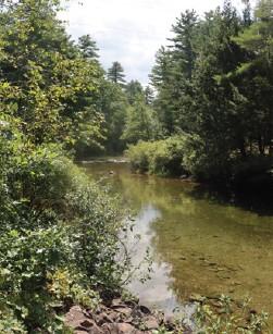 Swift River